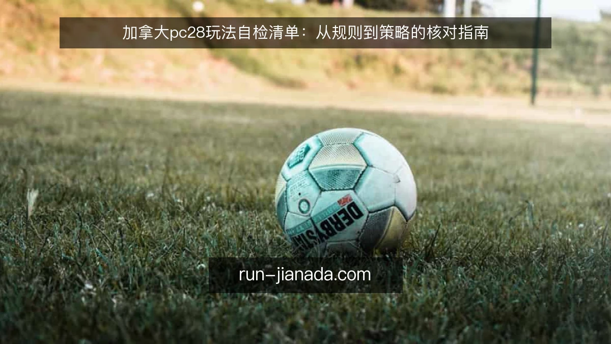 加拿大pc28玩法自检清单:从规则到策略的核对指南