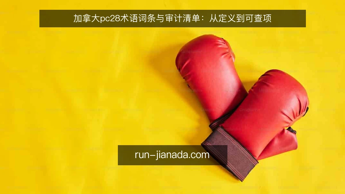 加拿大pc28术语词条与审计清单:从定义到可查项