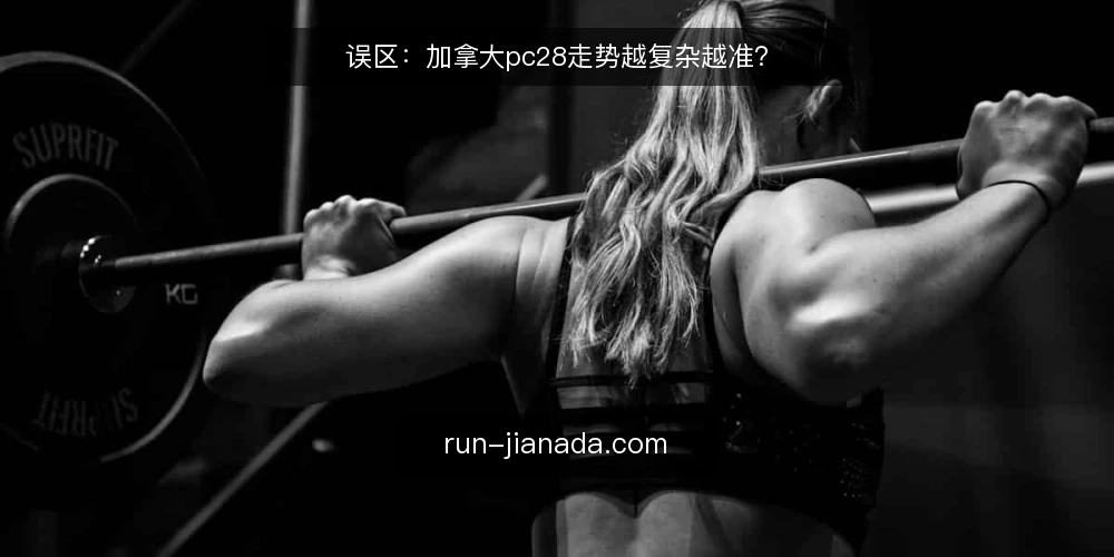 误区：加拿大pc28走势越复杂越准？ — 场景设定：一个追求“精准”的玩家 配图