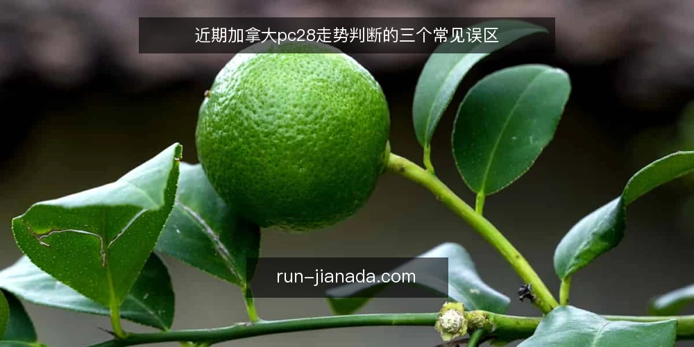 近期加拿大pc28走势判断的三个常见误区 — 误区一:走势越复杂越能预测结果 配图