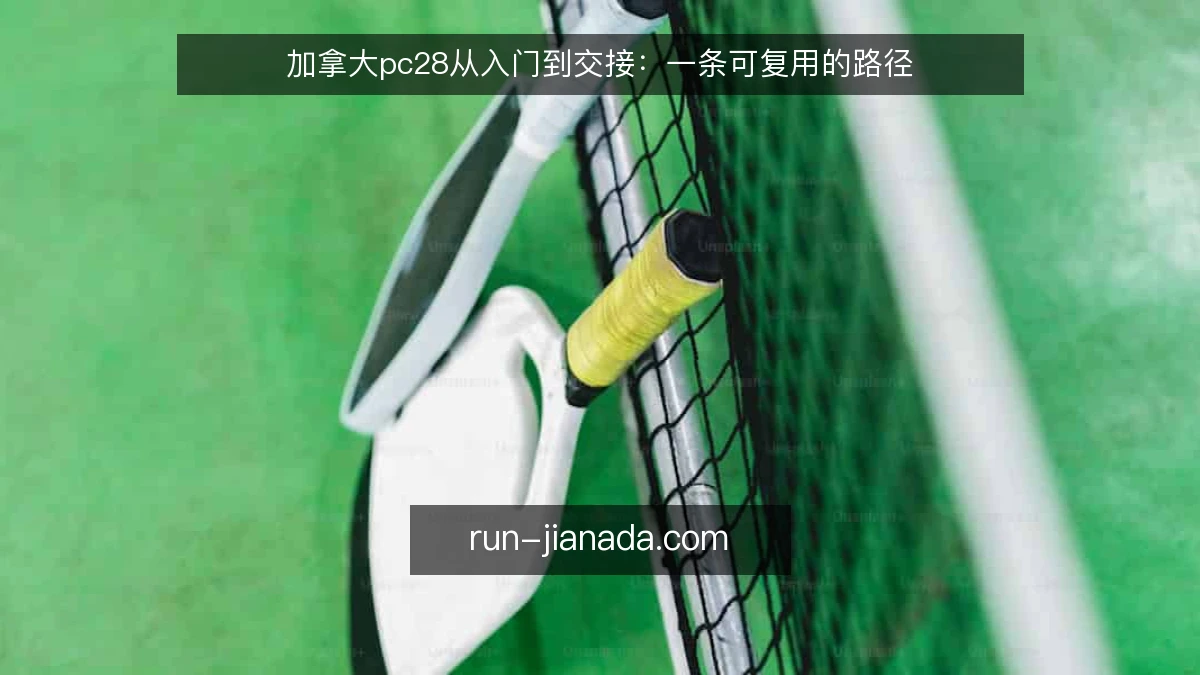 加拿大pc28从入门到交接：一条可复用的路径